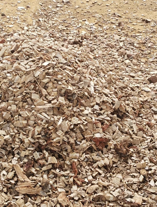 CỦI BĂM LÁT